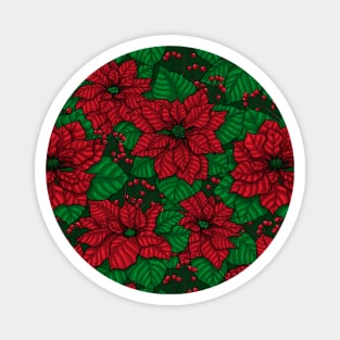 Poinsettia, Christmas pattern Magnet